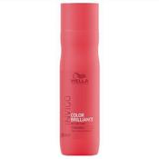Shampoo - Color Brilliance image