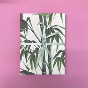 Concertina Album - Bamboo