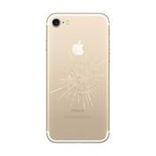 iPhone 7/Plus Back Glass Repair