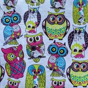 Colourful Owls
