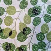 Eucalyptus Leaves