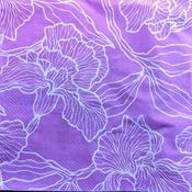 Iris Outlines