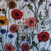 Multicoloured Poppies