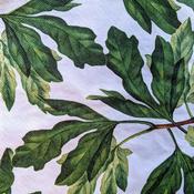 Tropical Leaves