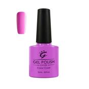 Berry Passion (24604) image