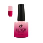 Strawberry Shortcake (24635)
