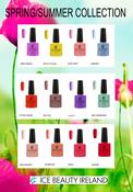 12PC Spring/Summer Collection