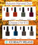 Autumn Harvest Duo image