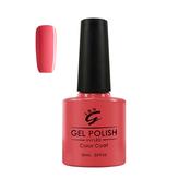 Coral Reef (24610) image