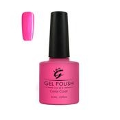 Future Fuchsia (24661) image