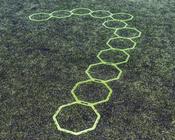 Precision Octa Ring System