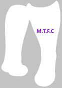 Mallow Town FC shorts away socks