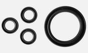 Oil Seal Kit-42555
