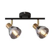 Westminster Spot - Black, Satin Brass Metal &amp; Smoked
