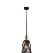Bird Cage Pendant - Black &amp; Satin Brass Metal