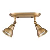 NATHANIEL 2LT PLATE SPOTLIGHT AGED BRASS image