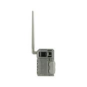 SPYPOINT LM2 image