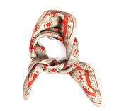 Mini Scarf - Silk - Natasha Coral image