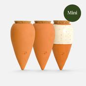 Hydrating Mini Ollas - Set Of 3 - Terracotta &amp; Speckled White