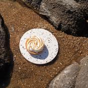 Trivet- Hélios - Mix Of Seashells