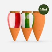 Hydrating Mini Ollas - Set Of 3 - The Striped