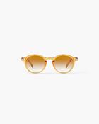 Sunglasses - #D - Golden Canyon - Polarized