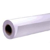 Epson Premium Semigloss Photo Paper Roll 16 x 305 m 250gm image