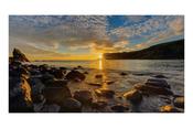 Samsung IF015R Digital signage flat panel LED Wi-Fi 1600 cdm Black image