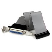StarTech.com Low Profile 16in Parallel Port Header Cable Adapter with Bracket  DB25 F to IDC26