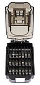 Screw Bit Set in Battery Shape Case 21 pcs