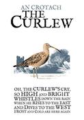 The Curlew image