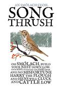 The Song Thrush image