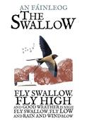 The Swallow image