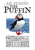 The Puffin