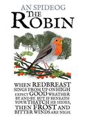 The Robin image