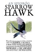 The Sparrow Hawk image