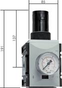 1" Pressure Regulator with Gauge image
