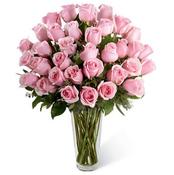 Sweet Valentine - Superior Product image