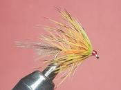Olive French partridge mayfly image