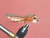 foam grasshopper image