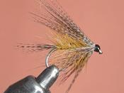 Light olive dabbler image