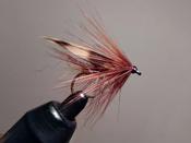 Green Peter Sedge image