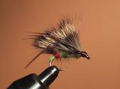 Green Peter Sedgehog image