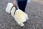 Leather Sheepskin Holder