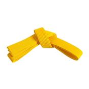 Yellow Belt image
