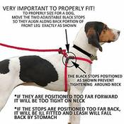 Harness lead hotsell escape resistant image