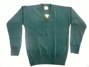 Boys hunter hotsell green sweater image