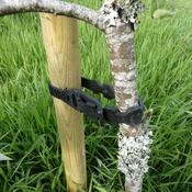 Tree Ties: 45cm