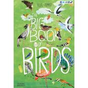 The Big Book of Birds image