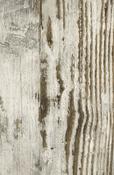 Vintage Oak Laminate 8mm